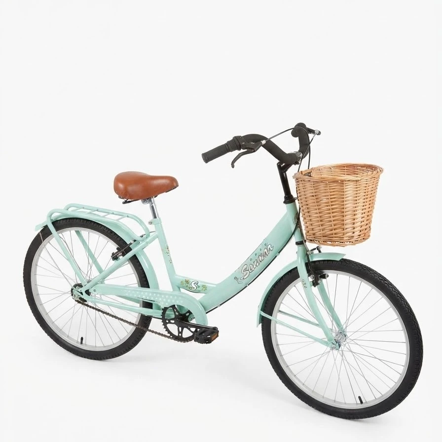 Bicicleta R24
