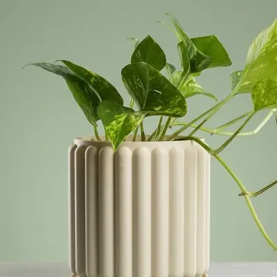 Maceta tubular grande con plato