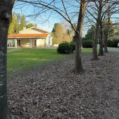 Casa quinta con pileta en Balcarce entre 538 y 540 thumbnail 3