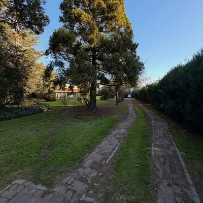 Casa quinta con pileta en Balcarce entre 538 y 540 thumbnail 4