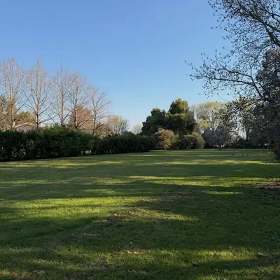 Lote arbolado en Balcarce entre 538 y 540